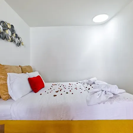 New Flat And Apartamento